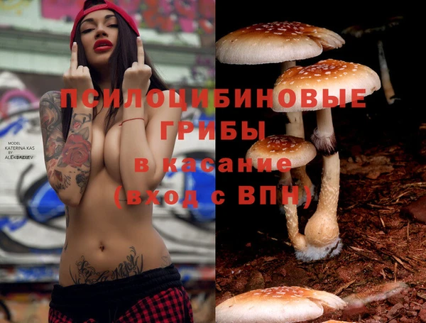 ECSTASY Белокуриха