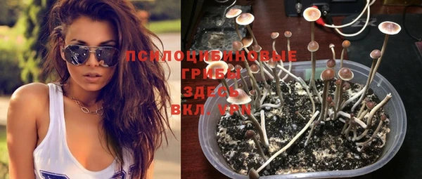 ECSTASY Белокуриха